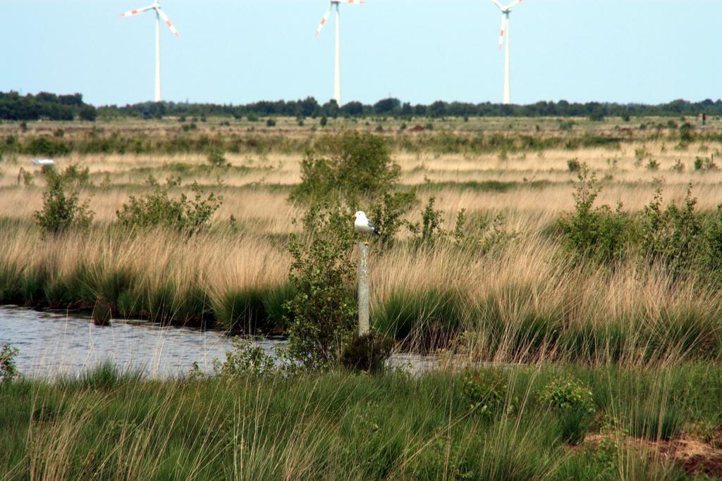 Frieslands Ferienwohnung Bockhorn  Buitenkant foto