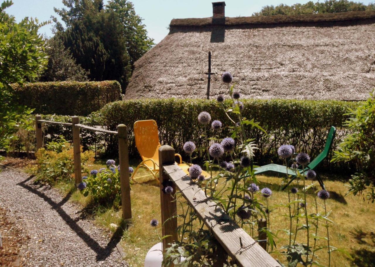 Frieslands Ferienwohnung Bockhorn  Buitenkant foto